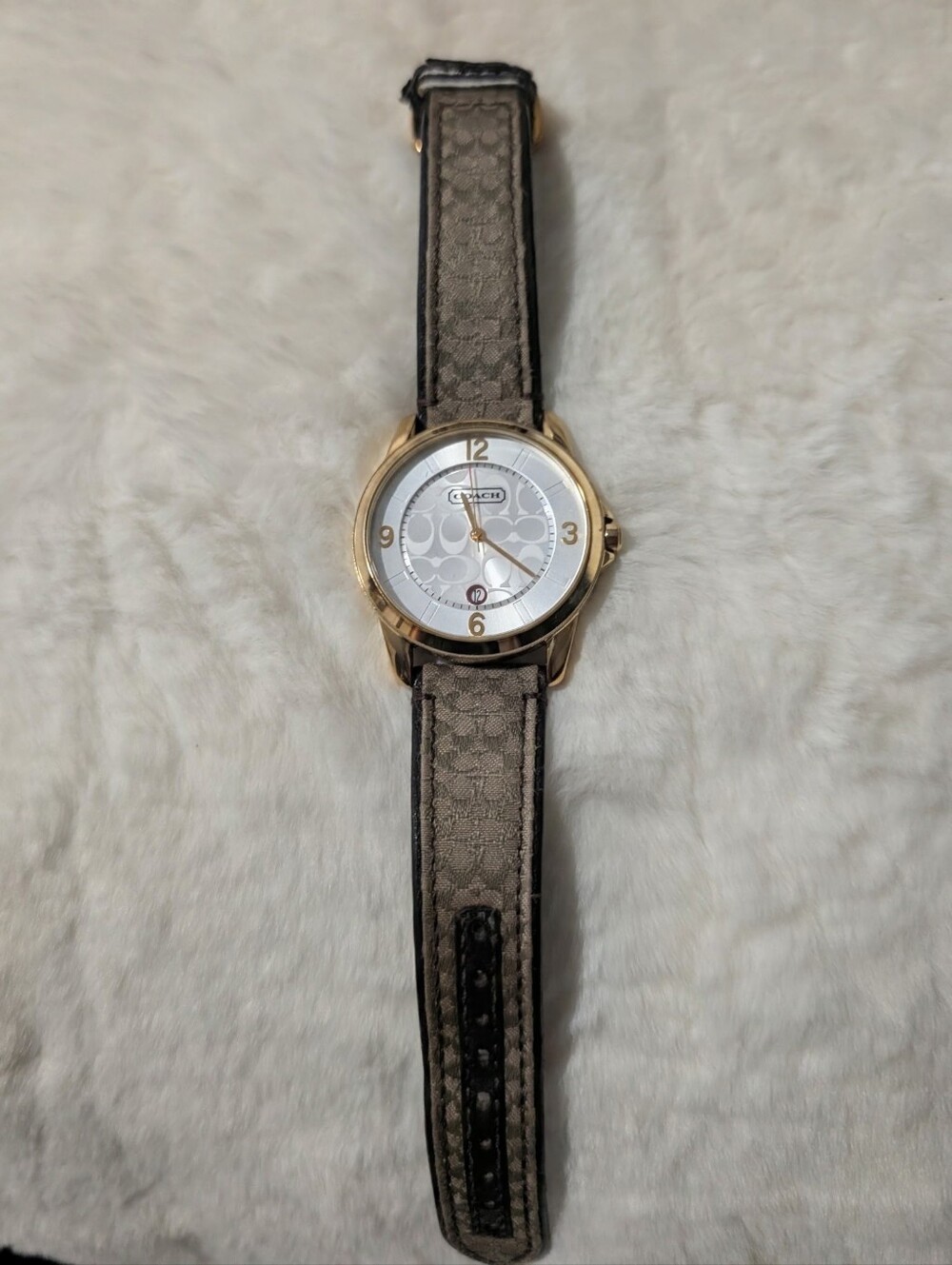 Coach Watch - Picture 9 of 9